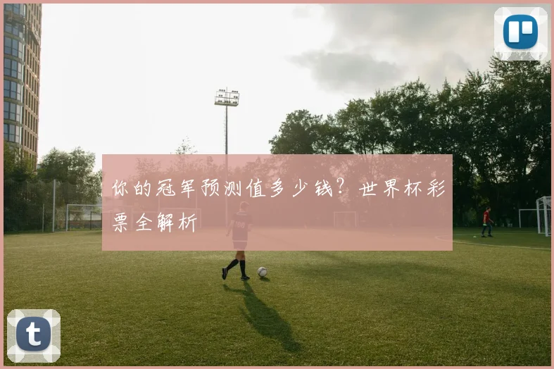 你的冠军预测值多少钱？世界杯彩票全解析