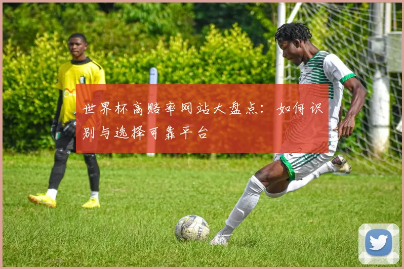 世界杯高赔率网站大盘点：如何识别与选择可靠平台
