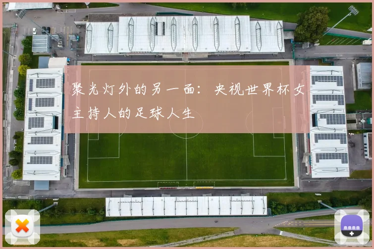 聚光灯外的另一面:央视世界杯女主持人的足球人生